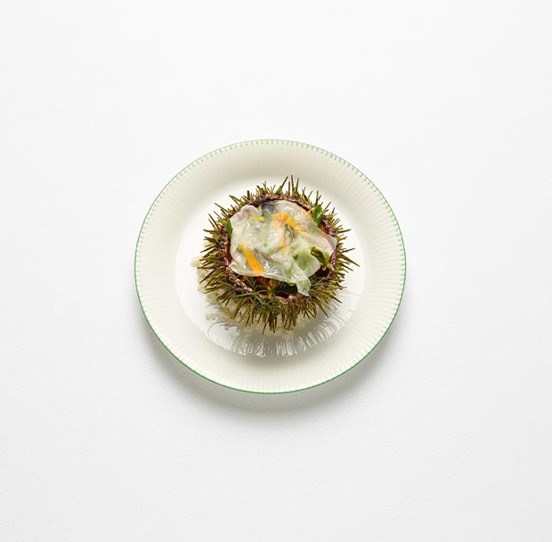 Oursin vivant, lard de colonnata - Christophe Pelé - YAM Cuisine