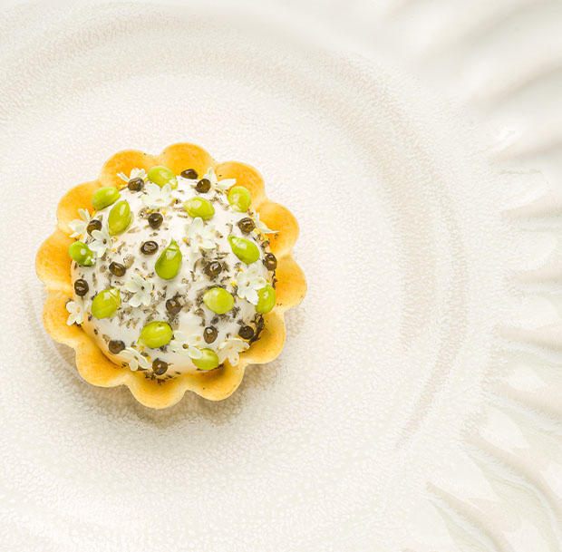 Tartelette petit pois et stracciatella